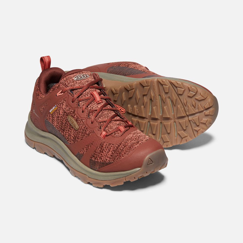 Baskets Keen Femme Rose/Corail | Terradora Ii Waterproof Shoes | XFLTA-9637